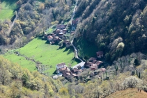 viboli